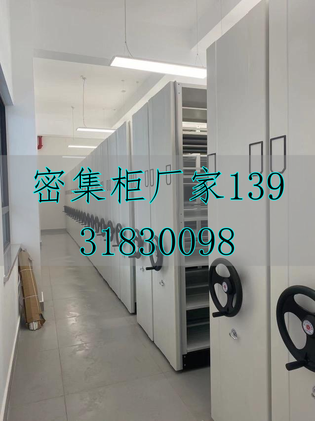 電動(dòng)智能密集架